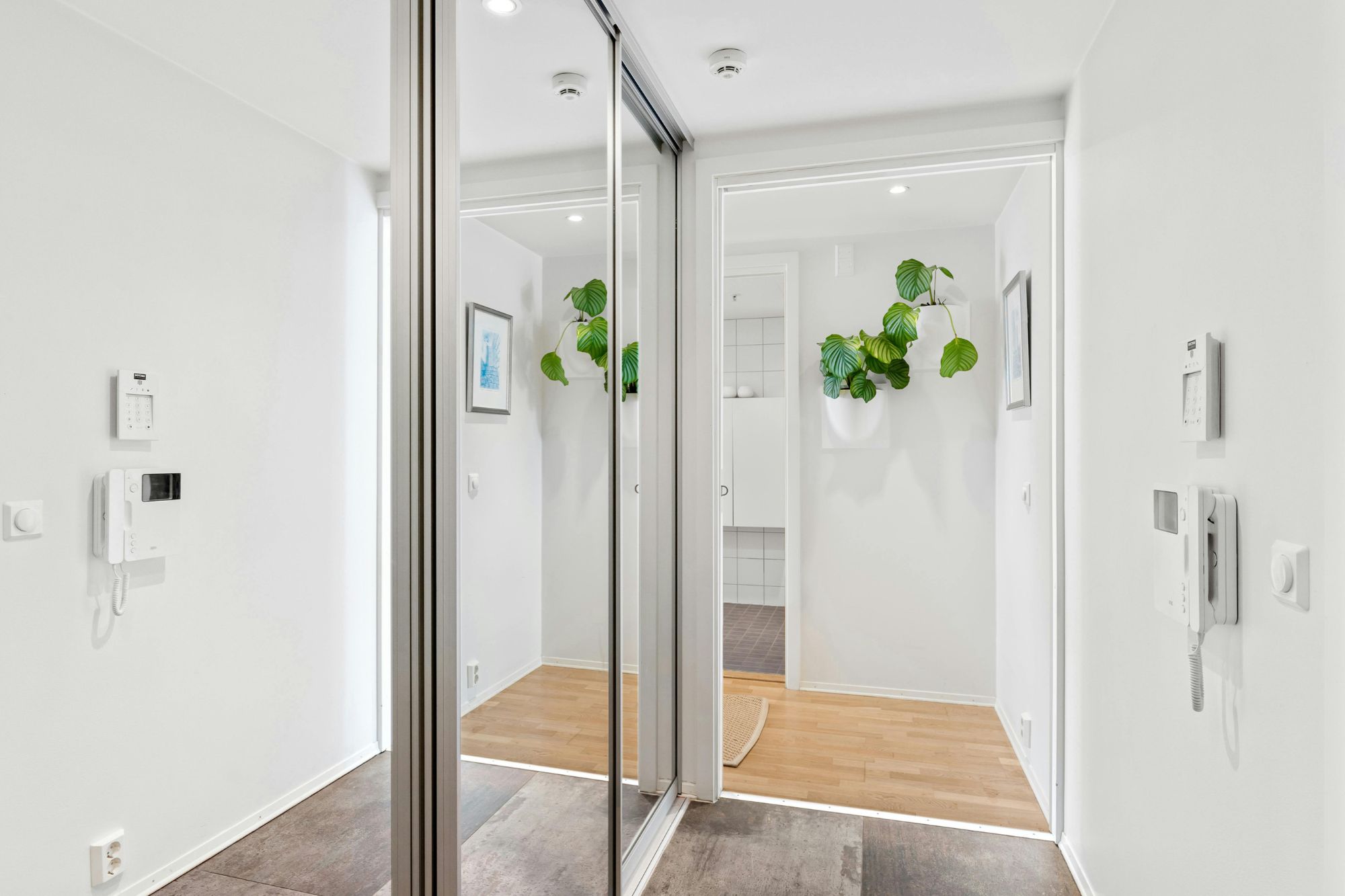 How to Choose the Perfect Custom Glass Door Singapore?